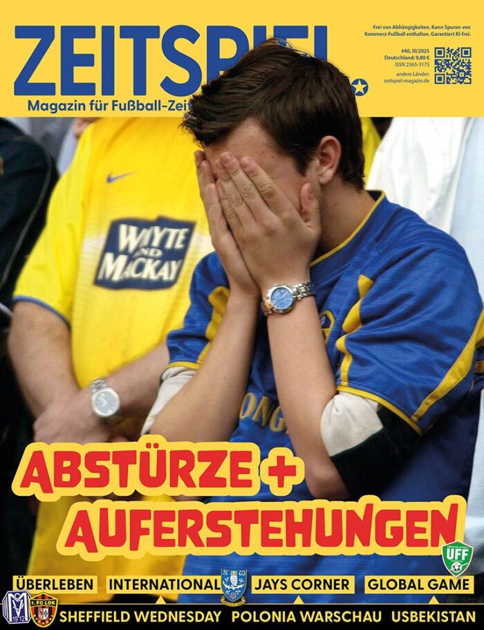 Heft #40: Abstürze und Auferstehungen